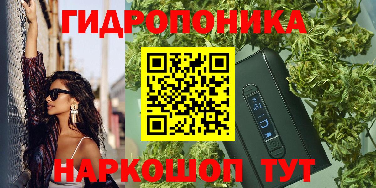 Каннабис индика Йошкар-Ола